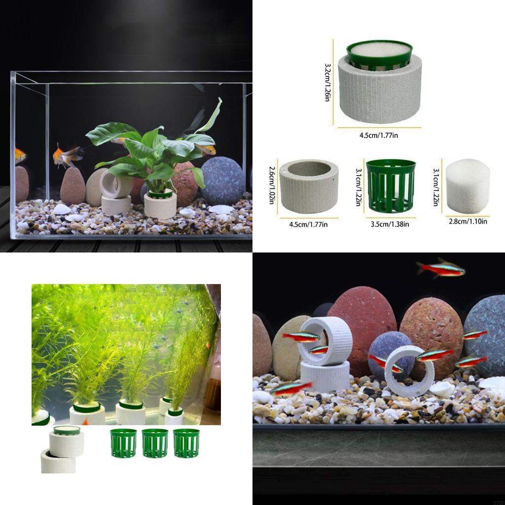 Aquarium Plant Holder - 37ME 10-teiliges Aquariumpflanzen-Festringe-Set, Keramik-Aquarium-Pflanzenringe mit Korb
