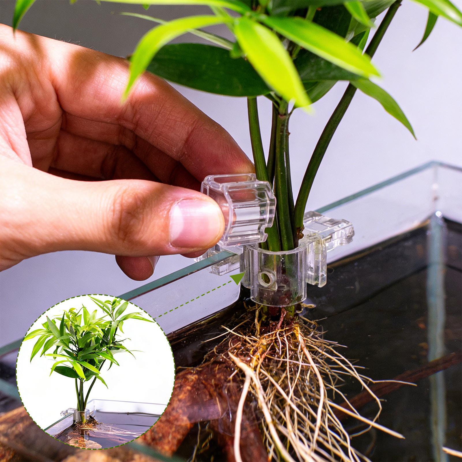 Aquarium Fertilizer - Mini-Aquarium-Pflanztopf 6 Stück Aquarium-Pflanzenhalter Stützbecher Aquarium-Futterbehälter
