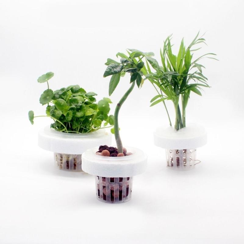 Aquarium Plant Holder - Schwimmender Pflanzenkorb für Aquarien, Hydrokultur-Pflanzenhalter, Wasserbecken-Pflanztopf