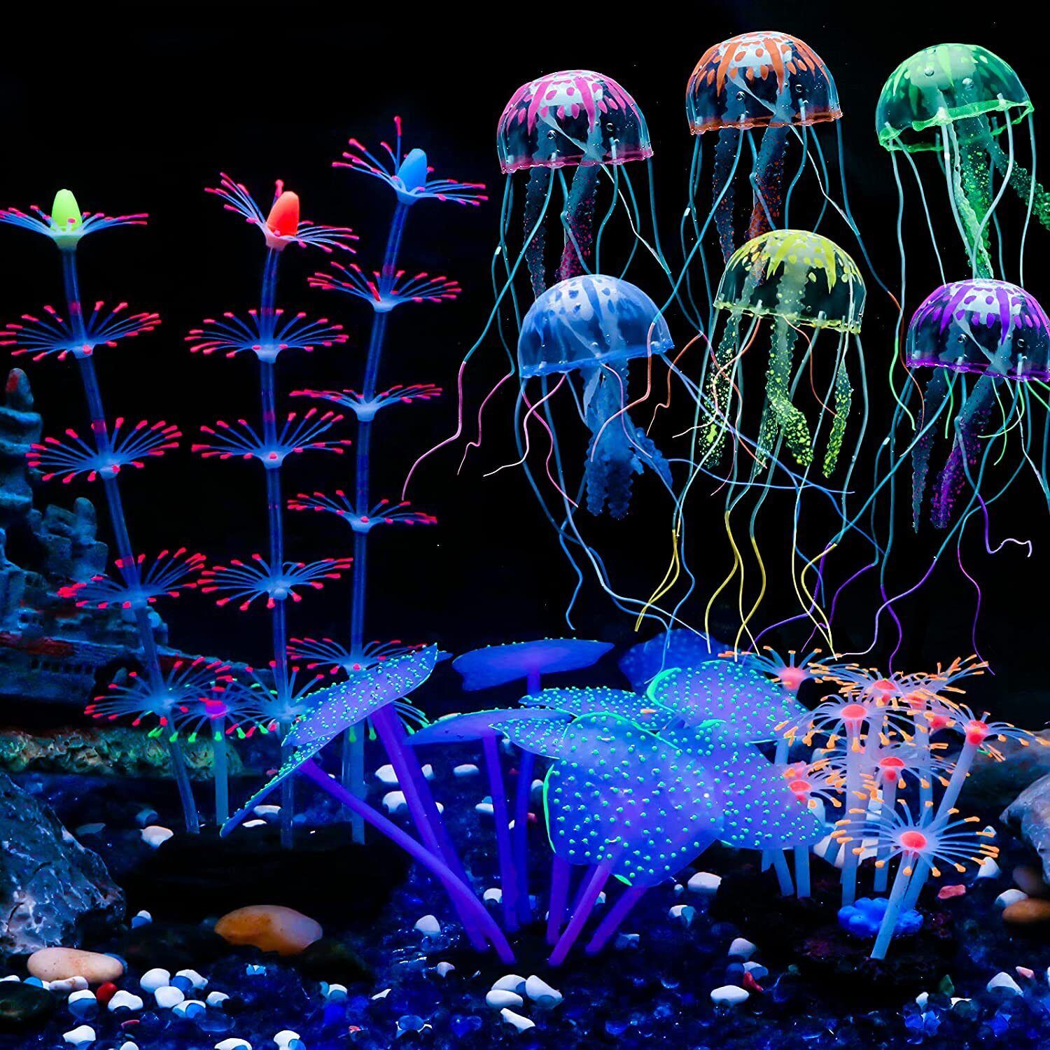 Leuchtende Silikon-Korallen un – Aquarium Plants Live Bewertung und Preis