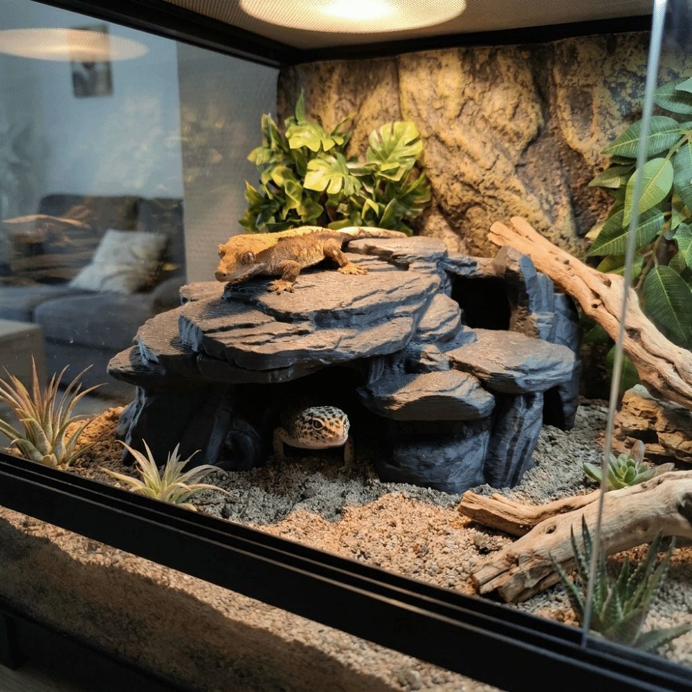3D-gedruckte Fischbecken-Felse – Aquarium Driftwood Bewertung und Preis