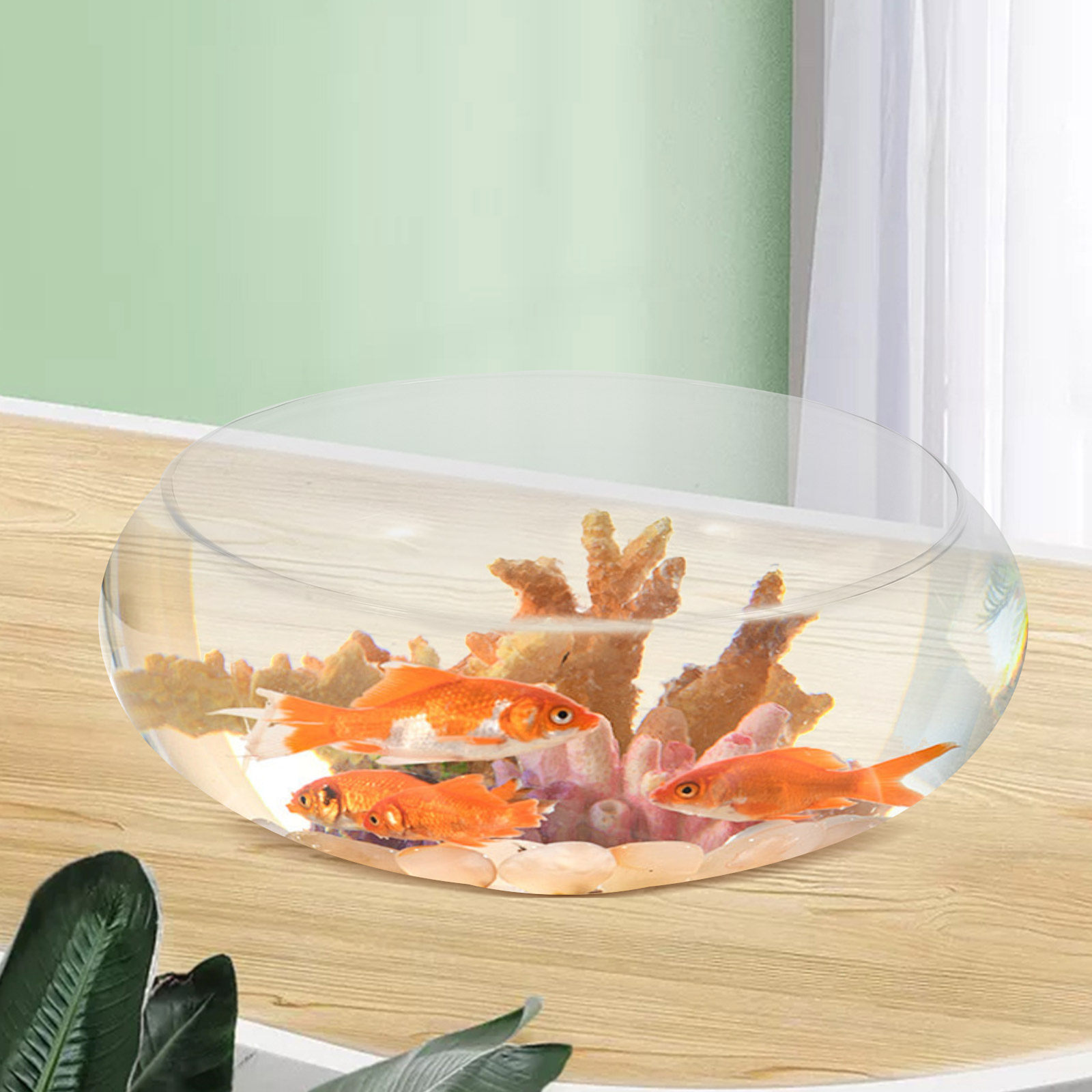 Glas-Fischschale, kleines Aqua – Plant Aquarium Pot Bewertung und Preis