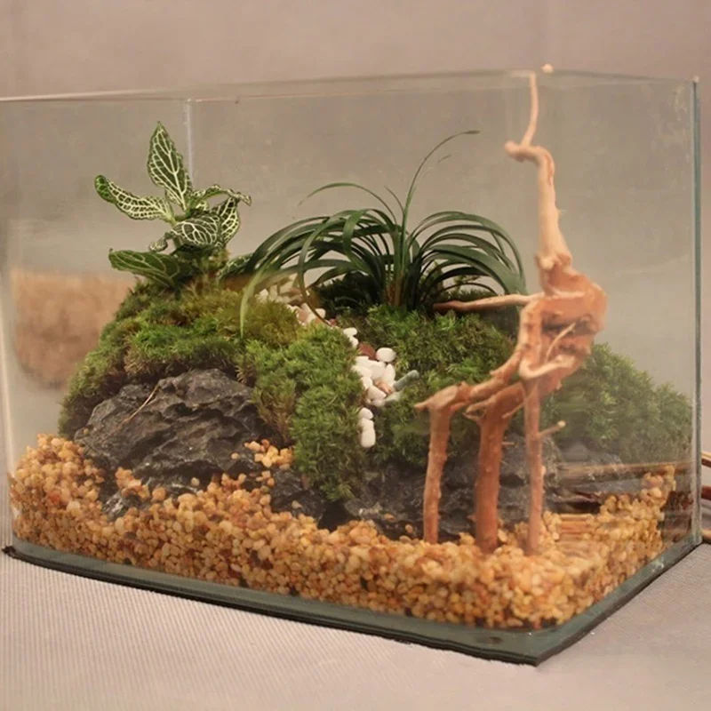 Natürlicher Baumstamm Treibhol – Aquarium Driftwood Bewertung und Preis
