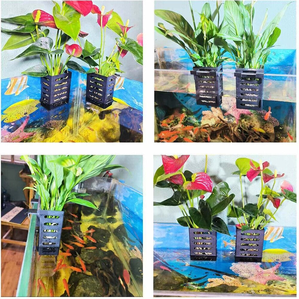 Aquarium-Pflanzenhalter mit Ha – Aquarium Plant Holder Bewertung und Preis
