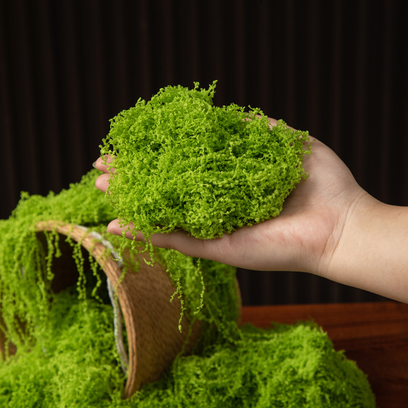 200g Ewiges Leben Moos DIY Bas – Aquarium Moss Bewertung und Preis