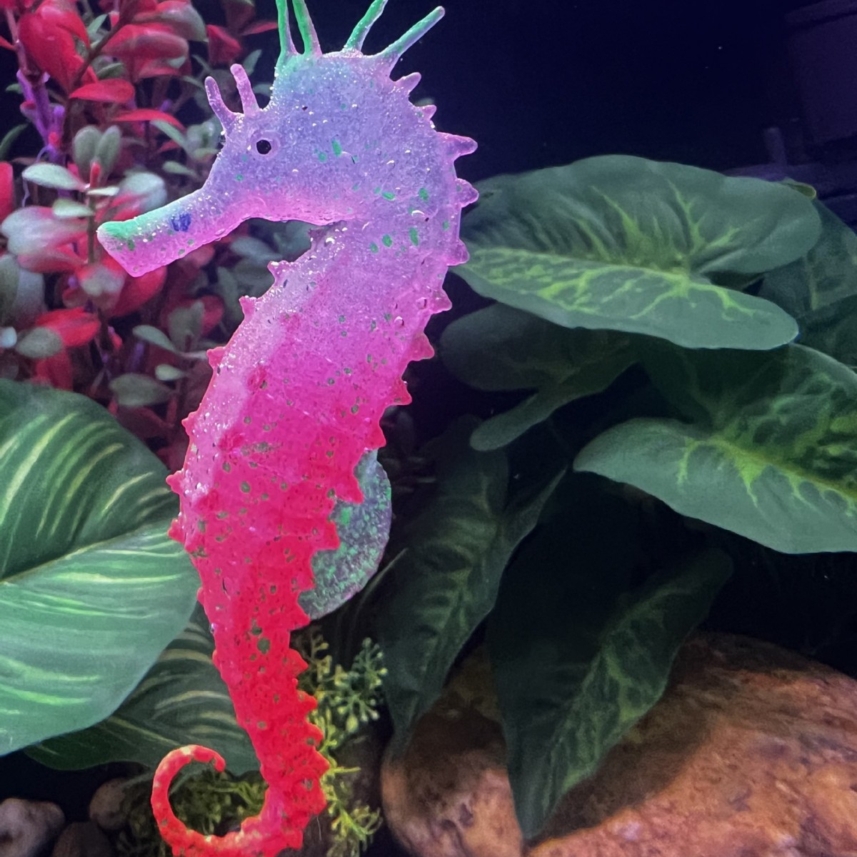 Simulierte Leuchtende Seepferd – Aquarium Plant Substrate Bewertung und Preis