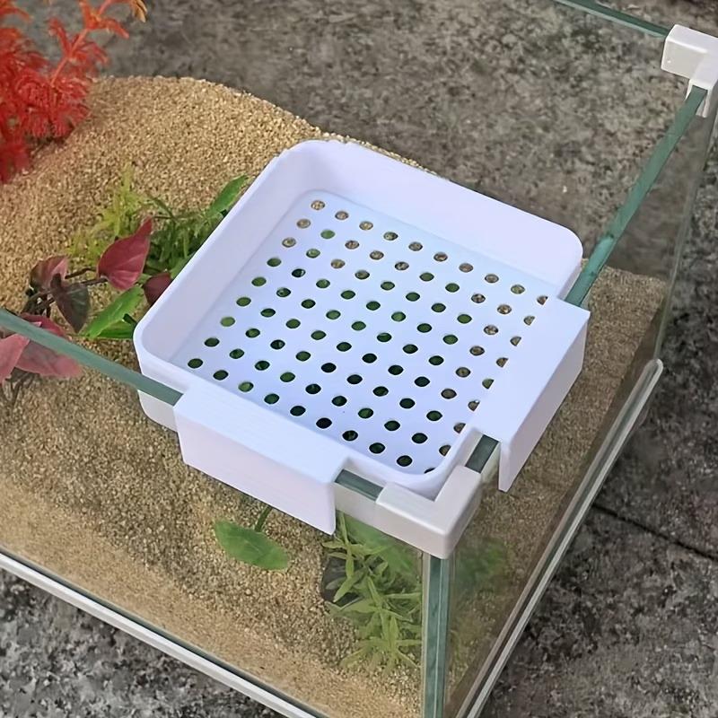 Neuer Aquarium-Wasserwechsel-D – Aquarium Plant Holder Bewertung und Preis