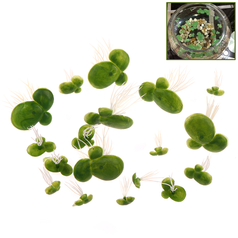 18 teile/satz Aquarium Aquariu – Aquarium Plants Live Bewertung und Preis