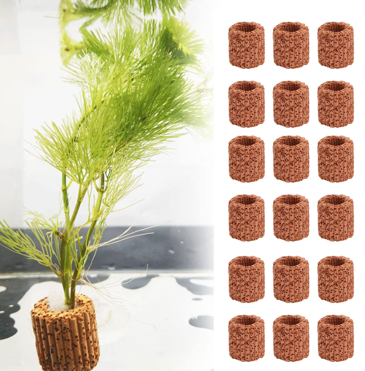 10/20pcs Wasser wasser pflanze – Aquarium Plants Live Bewertung und Preis