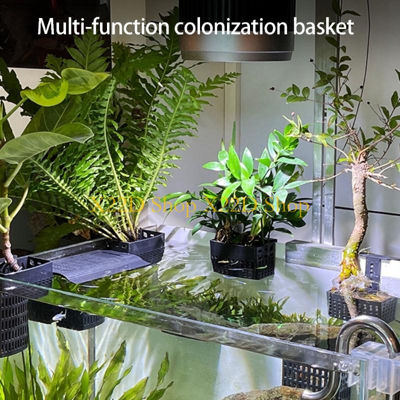 X22D Moderner vertikaler Pflan – Aquarium Plant Holder Bewertung und Preis