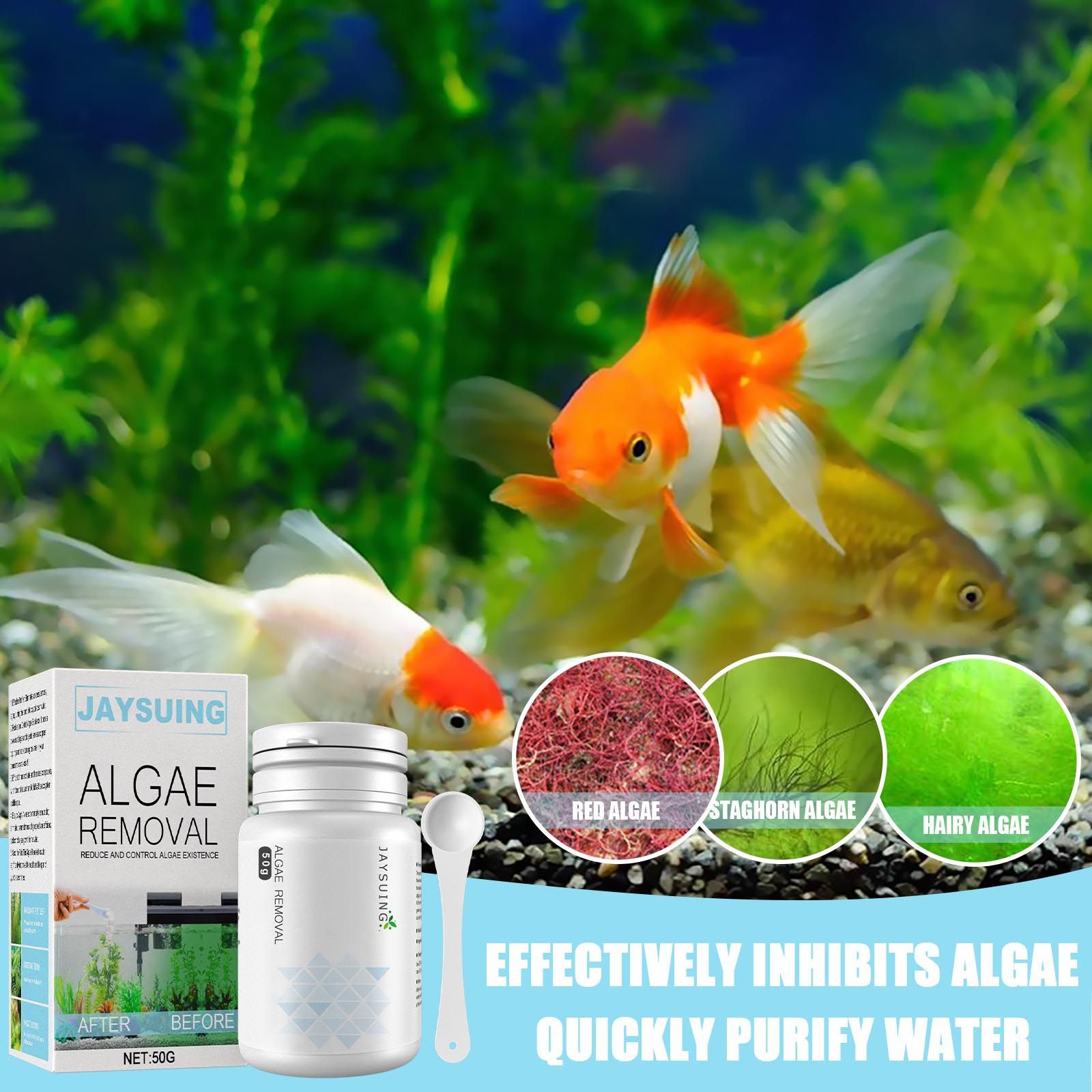 Aquarium-Algenentferner-Pulver – Aquarium Moss Bewertung und Preis