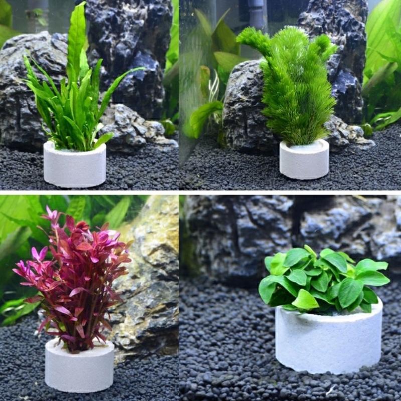 37ME 10-teiliges Aquariumpflan – Aquarium Plant Holder Bewertung und Preis