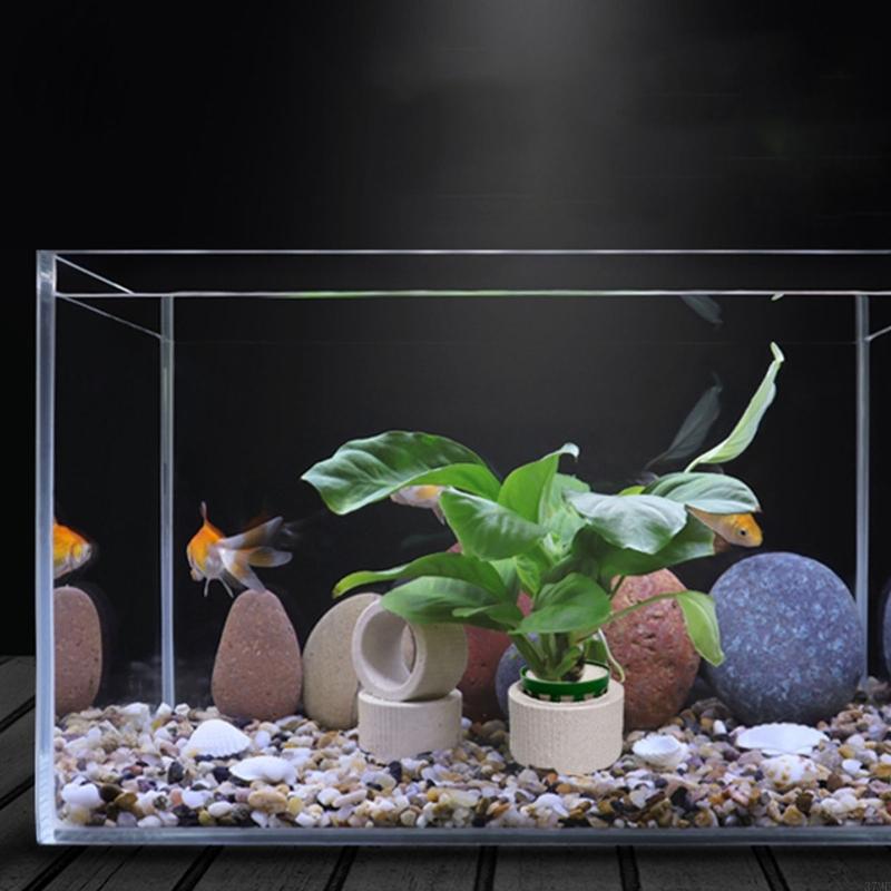 37ME 10-teiliges Aquariumpflan – Aquarium Plant Holder Bewertung und Preis