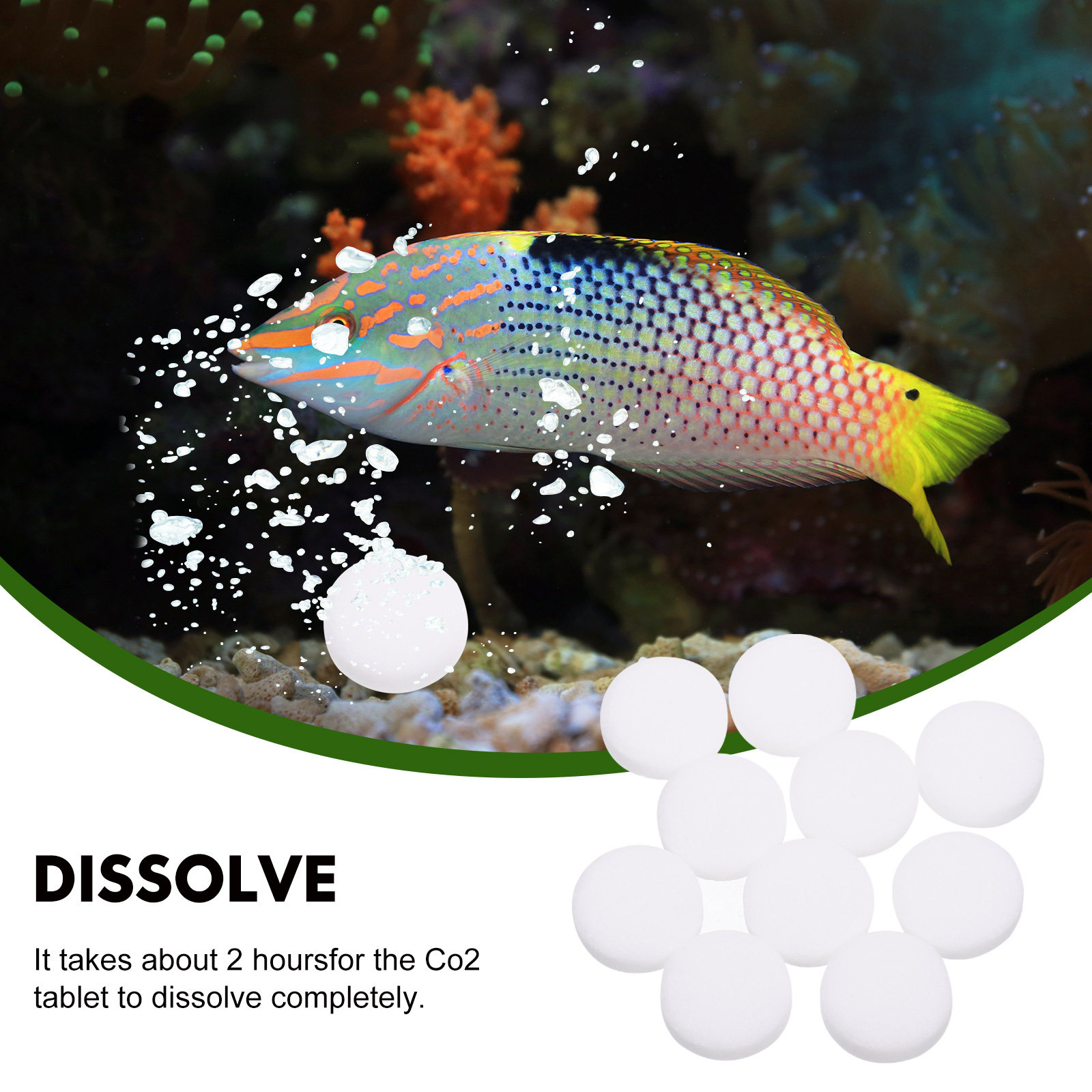 2 Beutel Praktische Aquarium-P – Aquarium Fertilizer Bewertung und Preis
