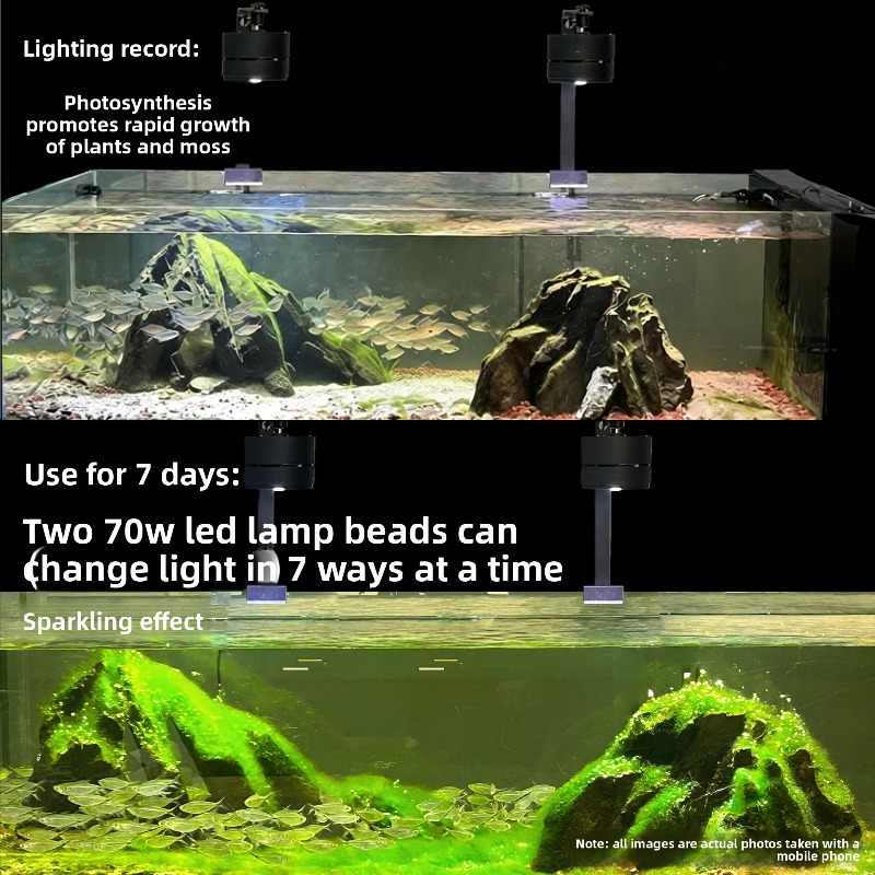 2026 Vollspektrum-LED-Aquarium – Aquarium Moss Bewertung und Preis