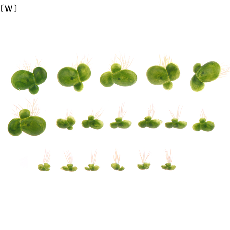 ieniaW Parque18 Stück/Set Aqua – Aquarium Plants Live Bewertung und Preis