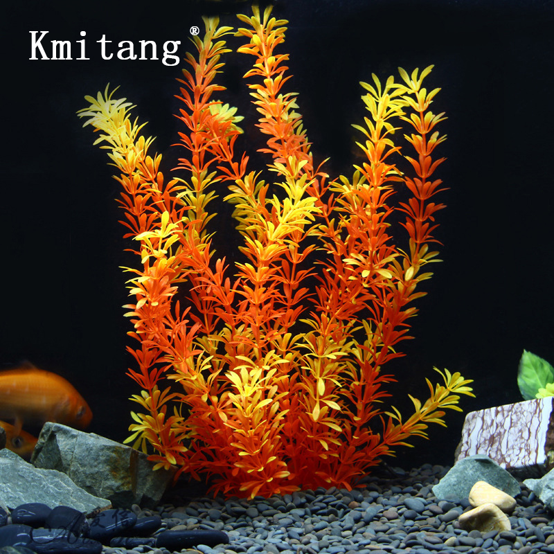 100cm Tropische Pflanzen, Groß – Aquarium Moss Bewertung und Preis