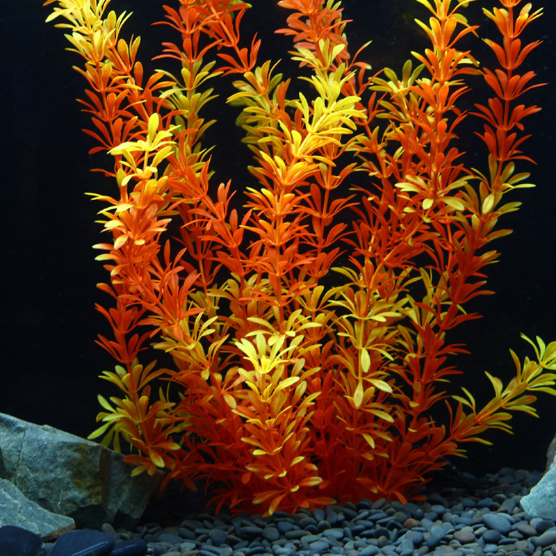 100cm Tropische Pflanzen, Groß – Aquarium Moss Bewertung und Preis