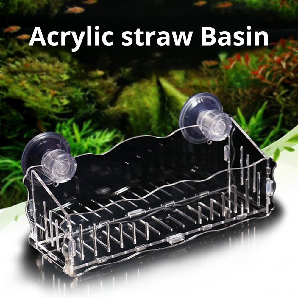 Pflanzenhalter mit Saugnapf, P – Aquarium Plant Holder Bewertung und Preis