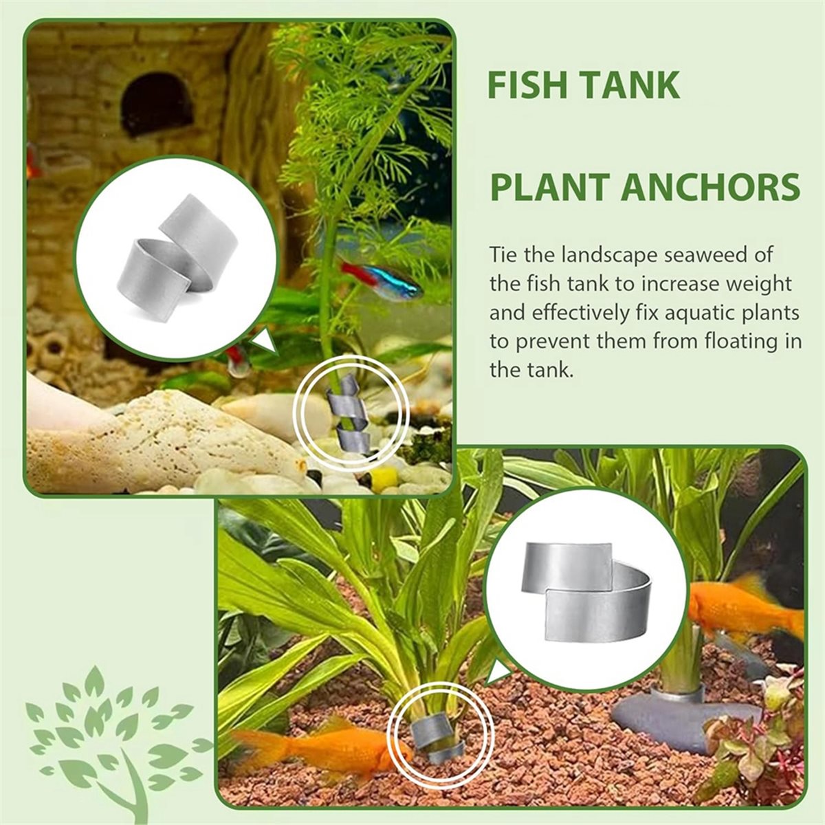 Zeitsparende Aquarienpflanzeng – Live Plant Aquarium Bewertung und Preis