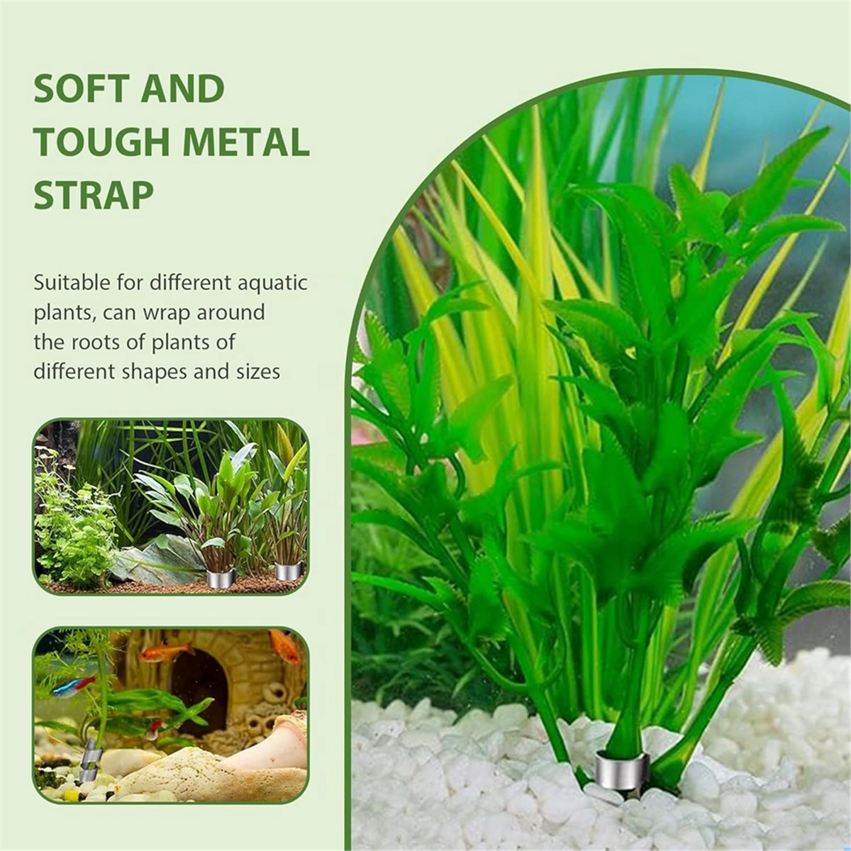 Zeitsparende Aquarienpflanzeng – Live Plant Aquarium Bewertung und Preis
