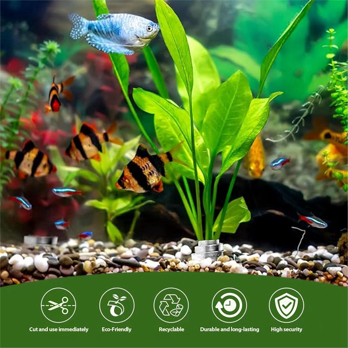 Zeitsparende Aquarienpflanzeng – Live Plant Aquarium Bewertung und Preis