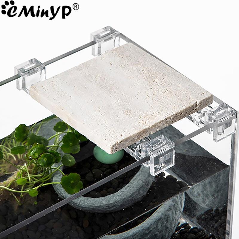 4Pcs Aquarium Acryl Clips für  – Aquarium Plant Holder Bewertung und Preis