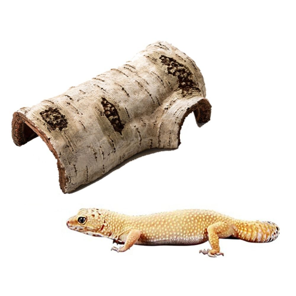 Künstliche, kreative, lebensec – Aquarium Plant Holder Bewertung und Preis