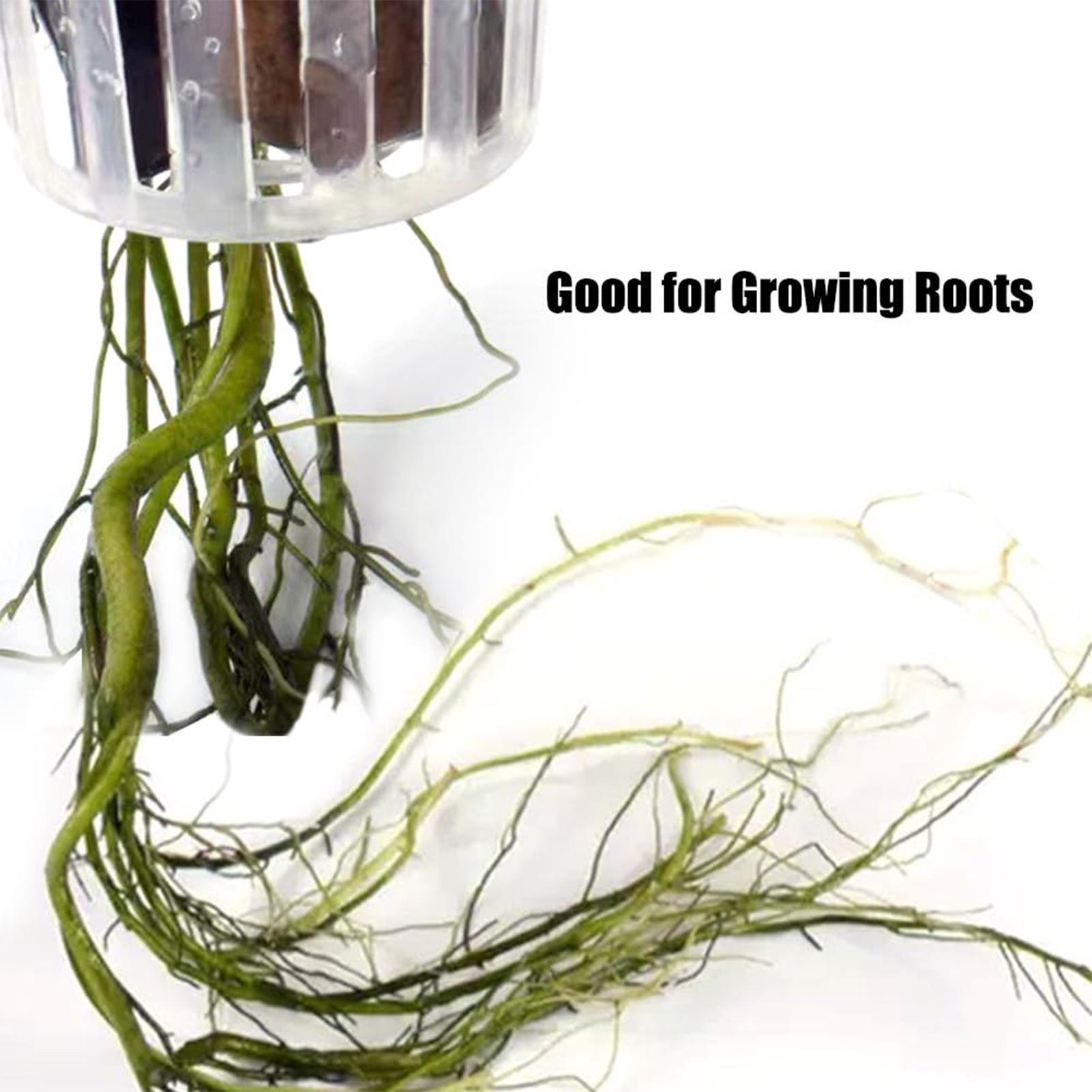 2 Stück hängbare Aquarienpflan – Aquarium Plant Holder Bewertung und Preis