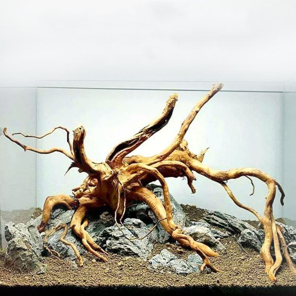 20-25CM Großes Aquarium-Treibh – Aquarium Plant Substrate Bewertung und Preis