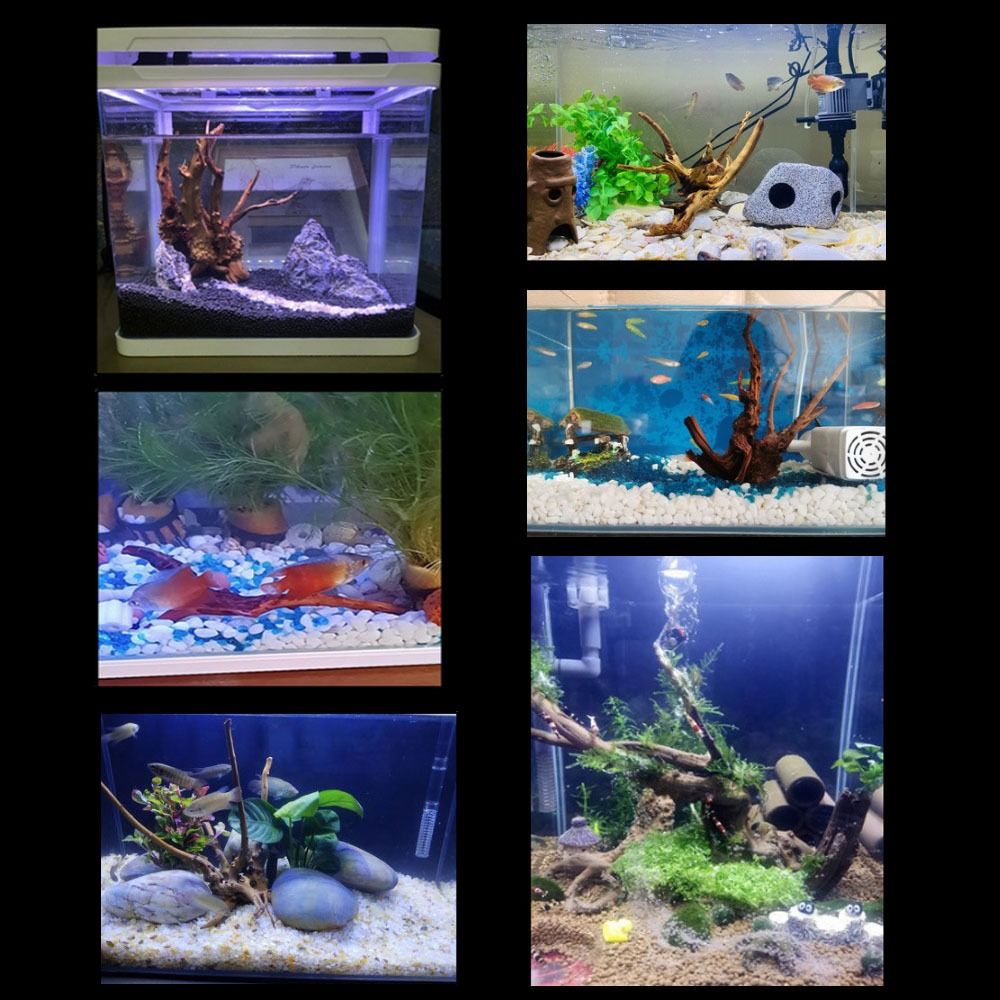 20-25CM Großes Aquarium-Treibh – Aquarium Plant Substrate Bewertung und Preis