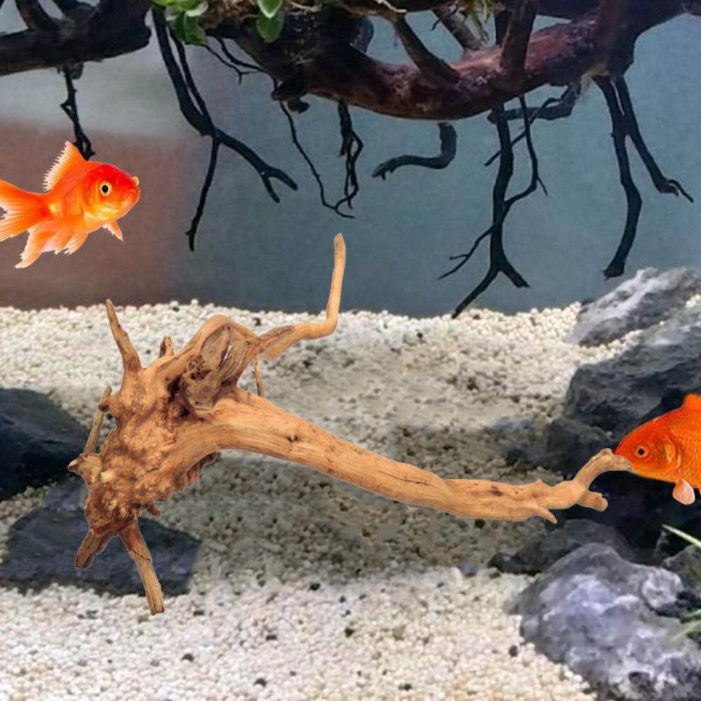 20-25CM Großes Aquarium-Treibh – Aquarium Plant Substrate Bewertung und Preis