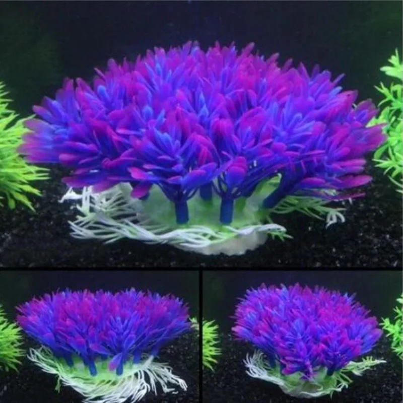 Künstliche breite kurze Aquari – Aquarium Plants Live Bewertung und Preis