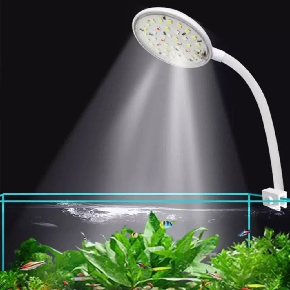 Neue Mini Aquarium Clip Lampe  – Live Plant Aquarium Bewertung und Preis
