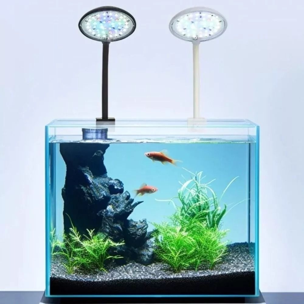Neue Mini Aquarium Clip Lampe  – Live Plant Aquarium Bewertung und Preis