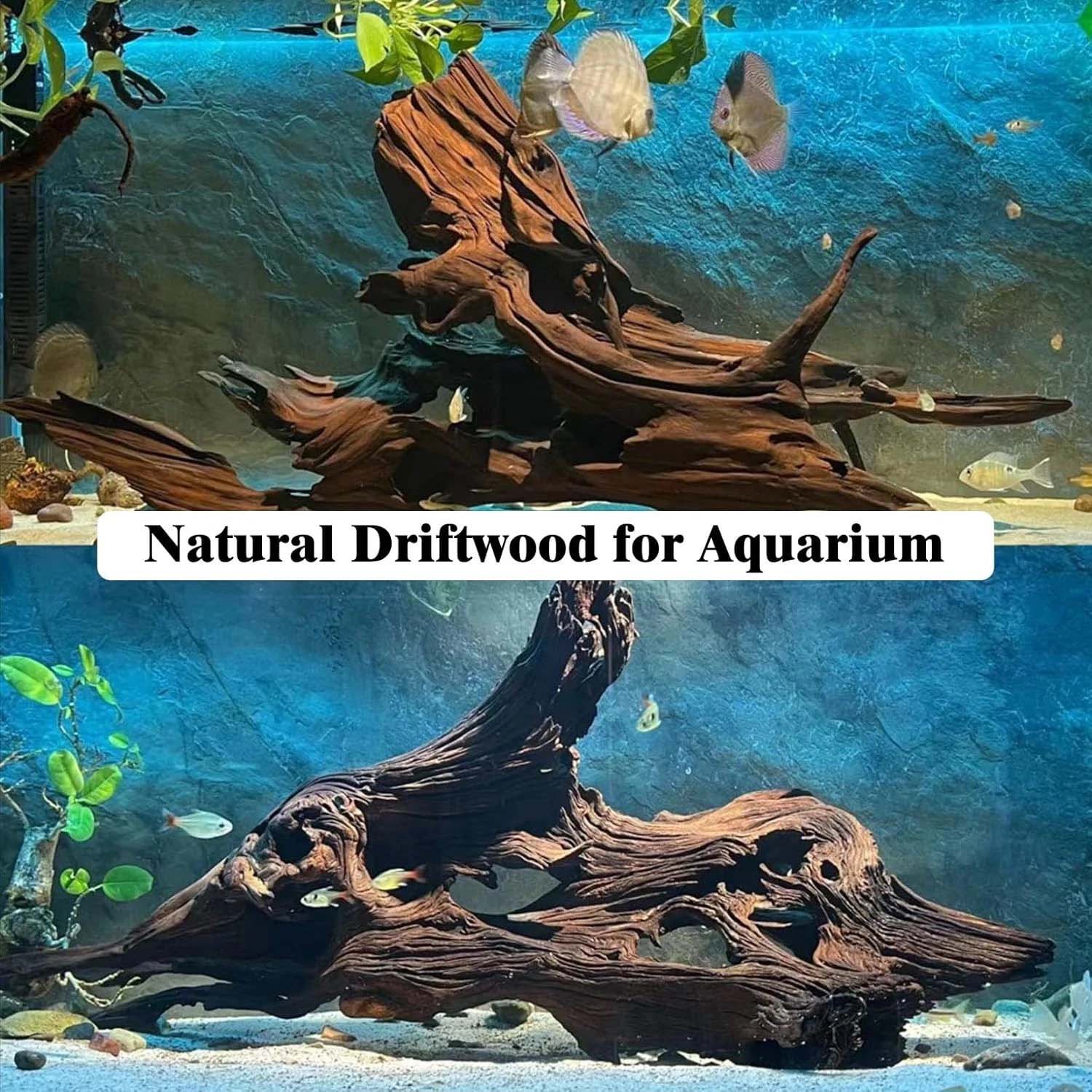 15-20CM 1 Stück Natürliches Tr – Aquarium Driftwood Bewertung und Preis