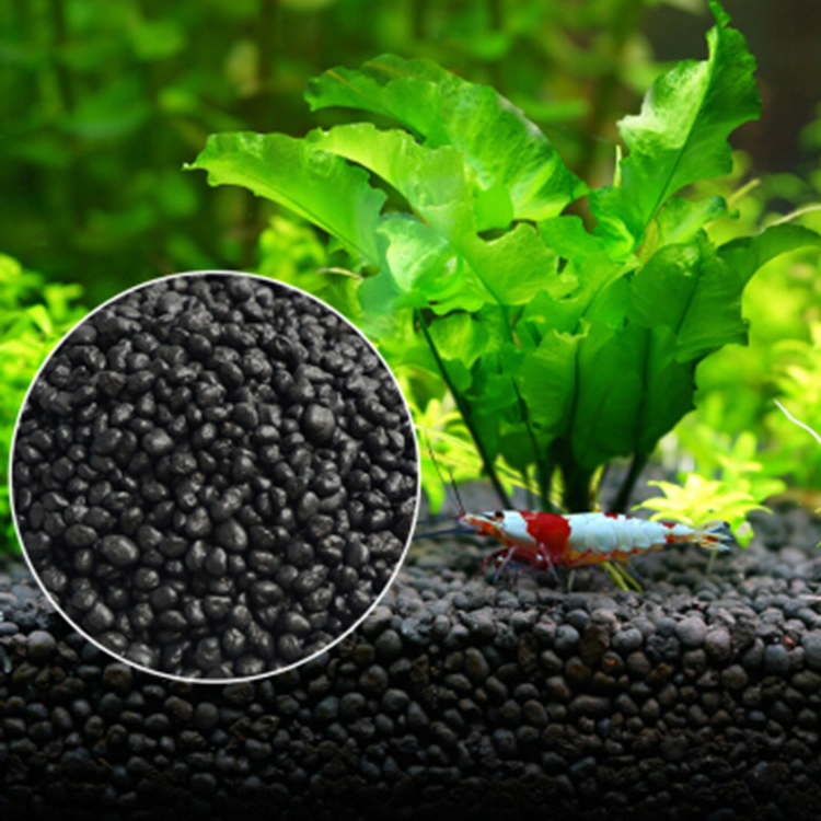 Aquarium Pflanzen Samen Boden  – Aquarium Fertilizer Bewertung und Preis