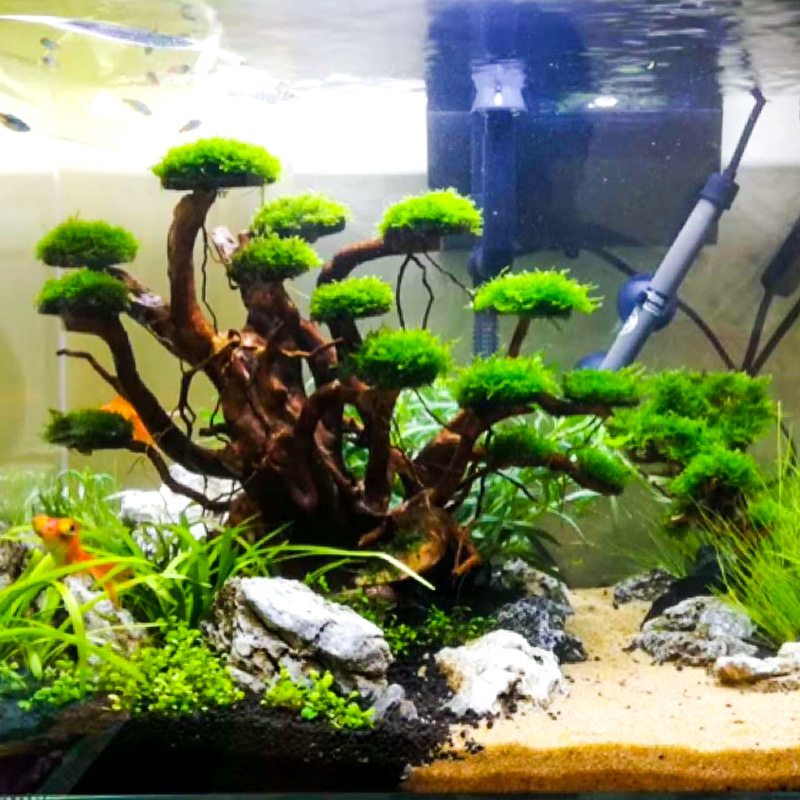 Aquarium-Landschaftsgestaltung – Aquarium Driftwood Bewertung und Preis