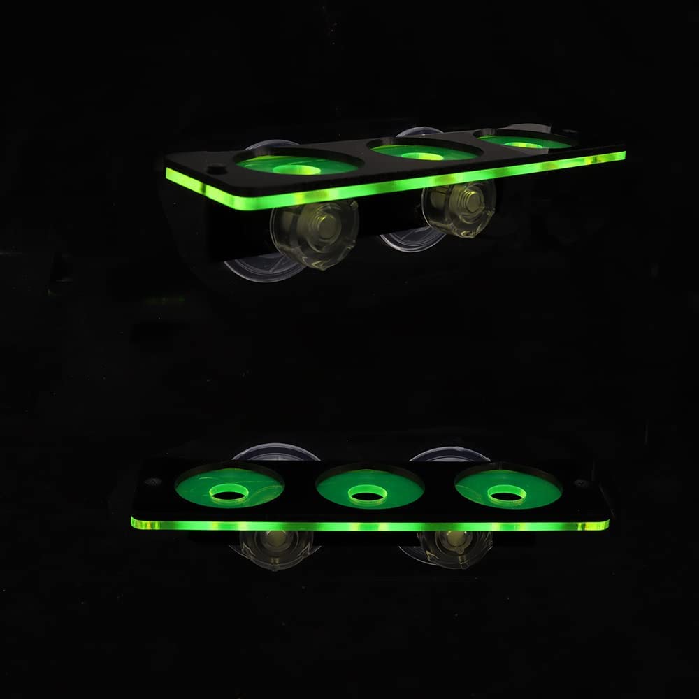 Fluoreszierende Korallen Frag  – Aquarium Plant Holder Bewertung und Preis