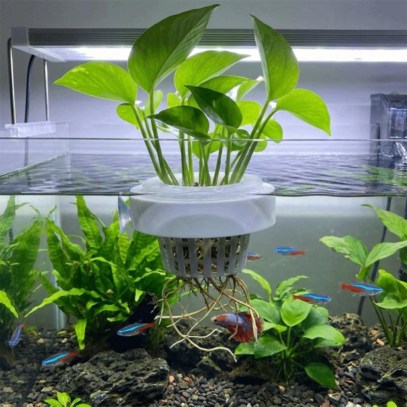 Schwimmender Pflanzenkorb für  – Aquarium Plant Holder Bewertung und Preis