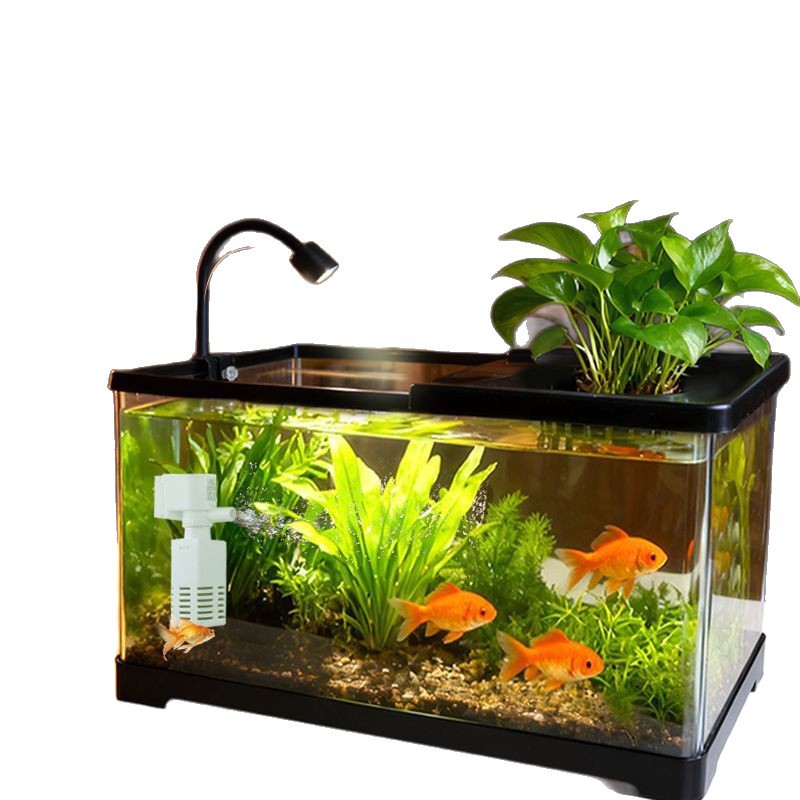Aquarium für das Wohnzimmer mi – Aquarium Plants Live Bewertung und Preis