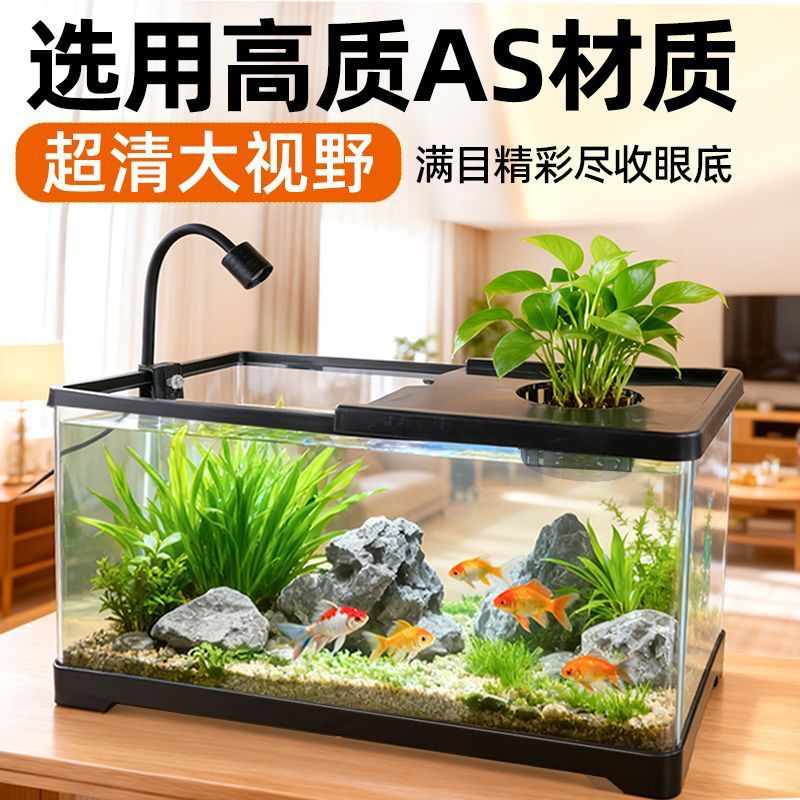 Aquarium für das Wohnzimmer mi – Aquarium Plants Live Bewertung und Preis