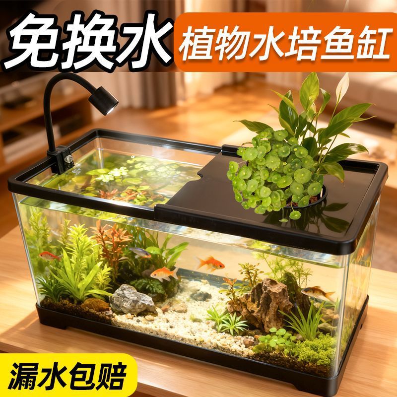 Aquarium für das Wohnzimmer mi – Aquarium Plants Live Bewertung und Preis