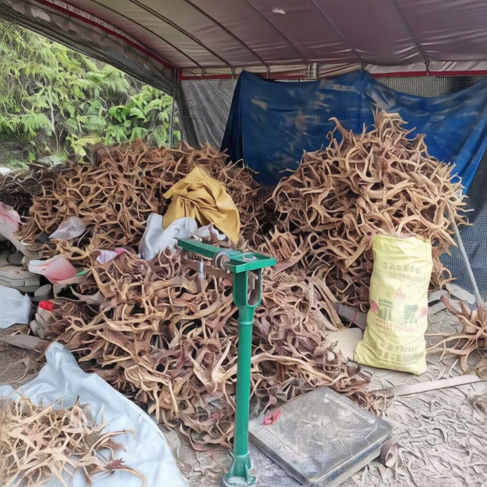 Künstliches Treibholz-Wurzelor – Aquarium Driftwood Bewertung und Preis