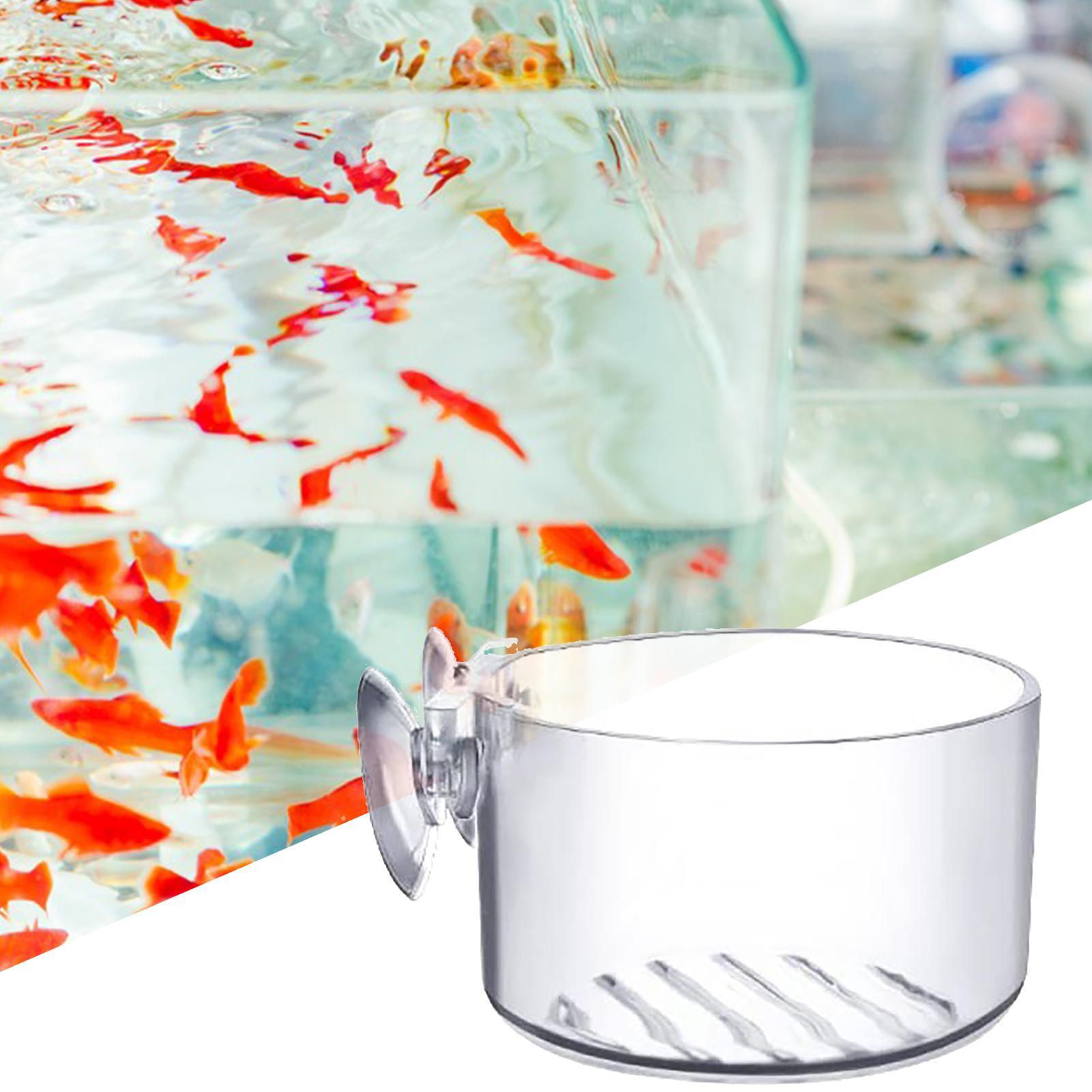 Acryl-Aquarium-Pflanzentopf, G – Aquarium Plant Holder Bewertung und Preis
