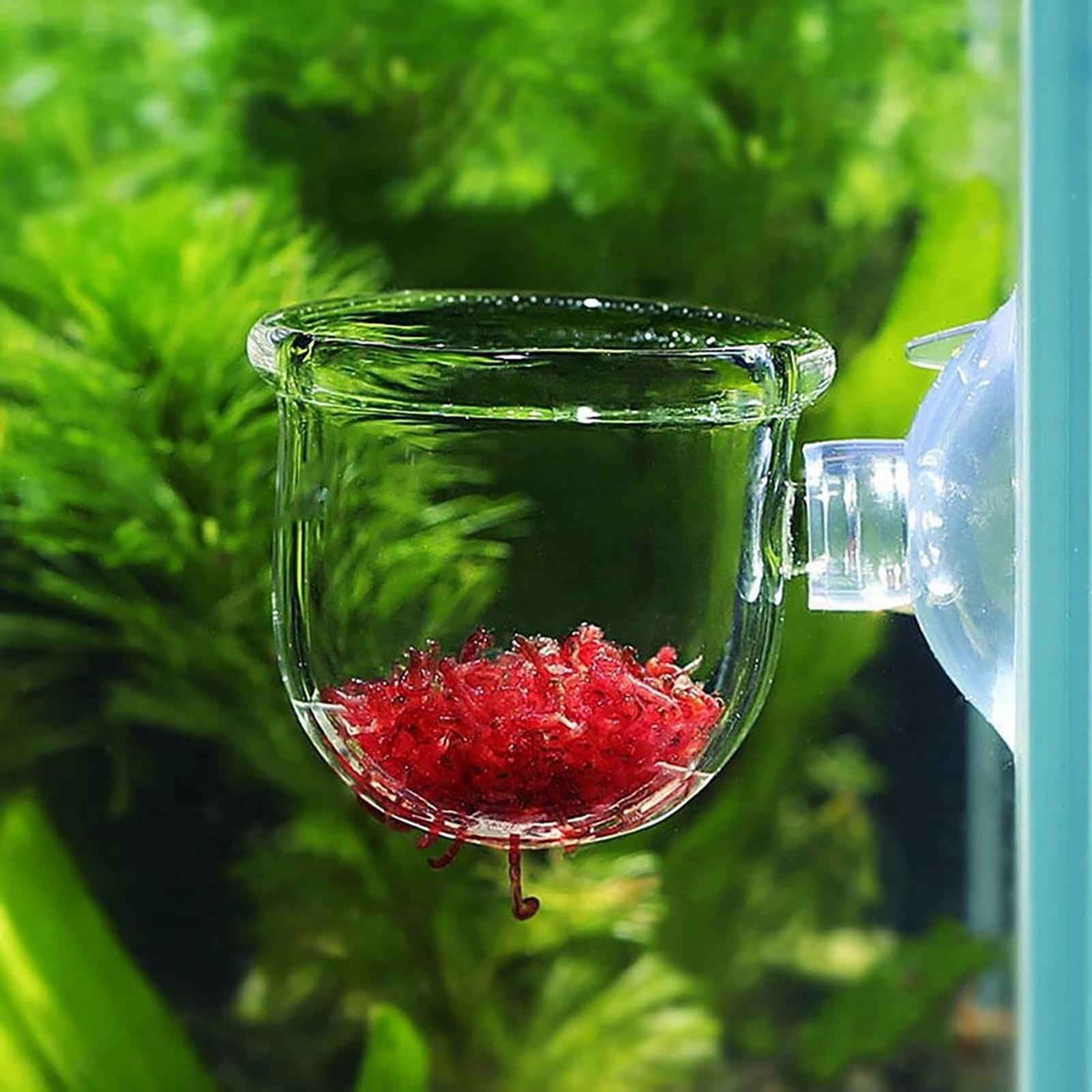 Acryl-Aquarium-Pflanzentopf, G – Aquarium Plant Holder Bewertung und Preis