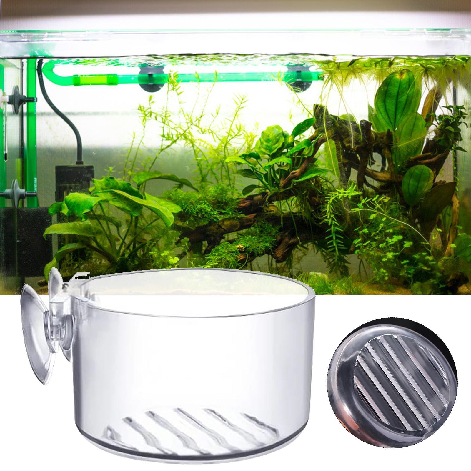 Acryl-Aquarium-Pflanzentopf, G – Aquarium Plant Holder Bewertung und Preis